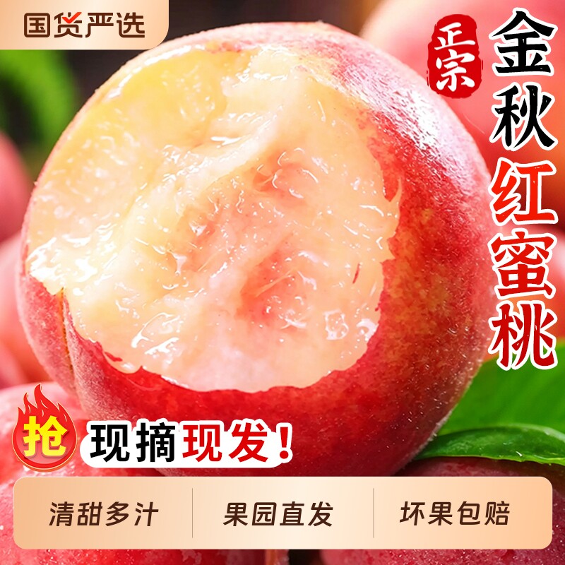 蒙阴金秋红蜜桃毛桃子当季新鲜水果脆甜春雪水蜜桃大果整箱包邮