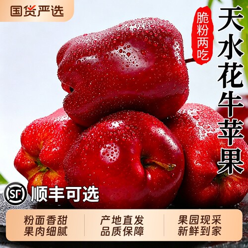 【花牛苹果9斤特惠】粉面香甜