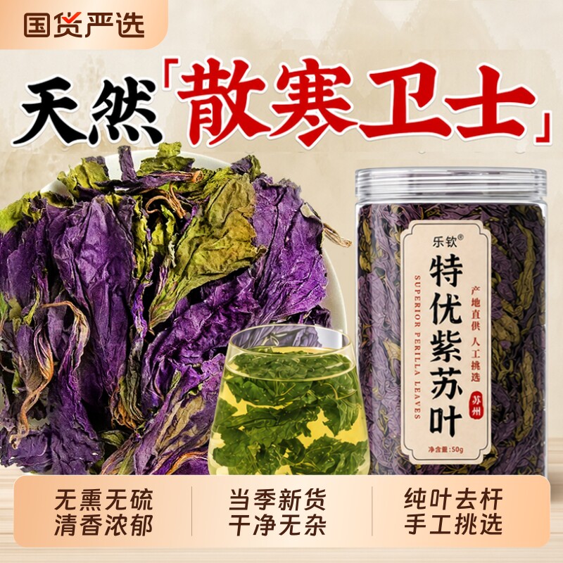 特级紫苏叶新鲜食用中药材泡水喝的功效与作用子叶官方旗舰店正品