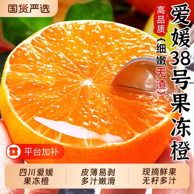 四川爱媛果冻橙酸甜多汁果肉嫩滑