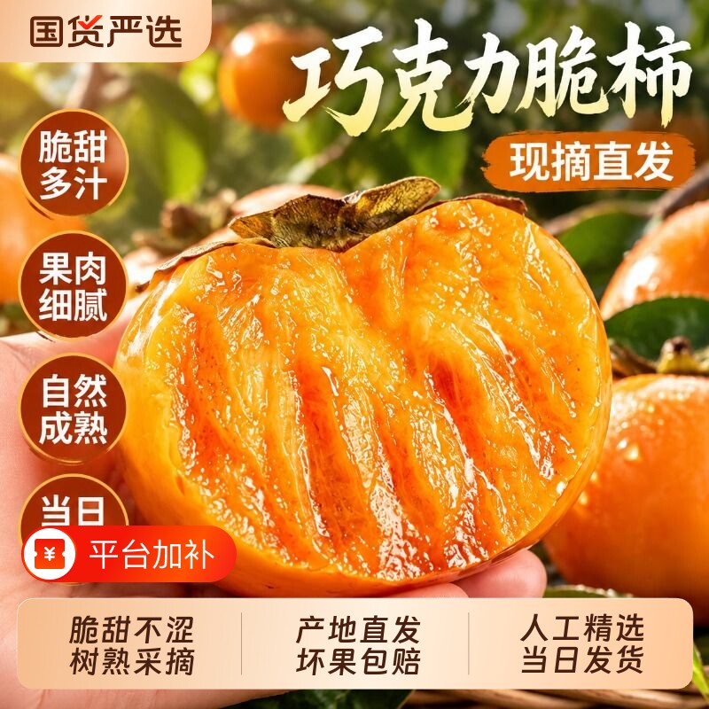 巧克力脆柿新鲜柿子太秋水果正宗冰糖心脆甜硬脆皮火晶大果整箱