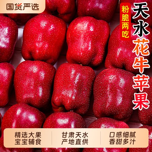花牛苹果正宗天水|超1000次加购