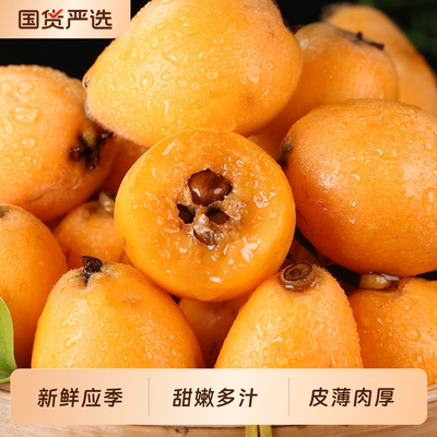 现货正宗四川米易枇杷新鲜水果3斤大果当季大五星琵琶果整箱包邮