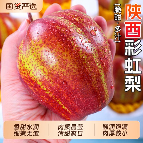彩虹梨大果香脆甜整箱包邮