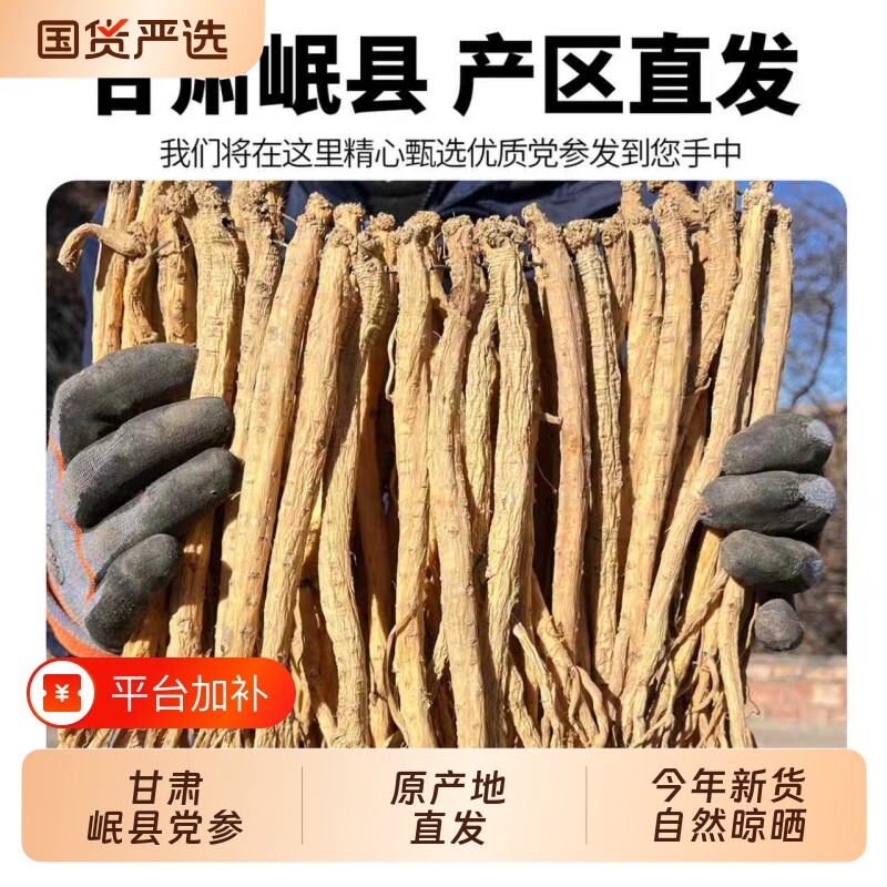 甘肃党参整条岷县原产地中药材党参条新货无硫大条干货