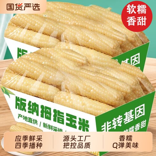 云南西双版纳新鲜香糯拇指小玉米甜糯早餐真空包装真空装糯玉米