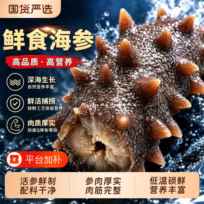 深海鲜食海参淡干刺参独立包装非干货冷冻鲜活水产新鲜食用自己