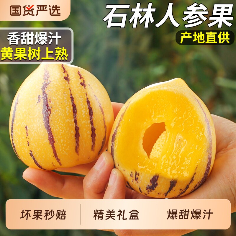 云南石林人参果新鲜水果5斤现摘人生娃娃树熟黄肉礼盒装时令大果