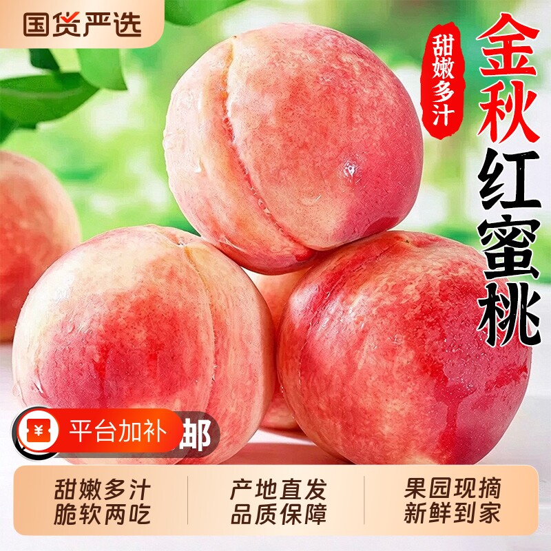 正宗金秋红蜜桃顺丰新鲜水果山东现摘脆甜桃子大果当季水蜜桃包邮