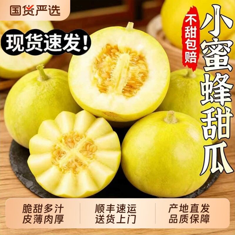 正宗山东小蜜蜂甜瓜顺丰新鲜水果星甜蜜罐早田瓜香瓜脆黄金瓜爆甜