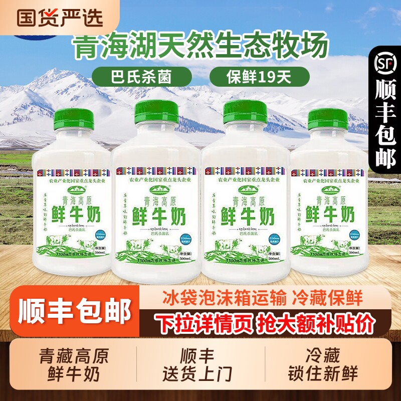 青海湖高原鲜牛奶500ml*8瓶家庭装便携瓶装学生儿童营养早餐奶