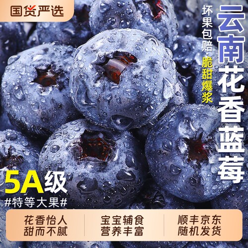 云南蓝莓老树果【热卖TOP商家】
