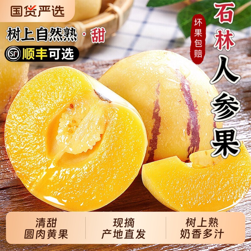 云南石林人参果新鲜现摘应季整箱果水果七彩黄肉圆果人生果树上熟