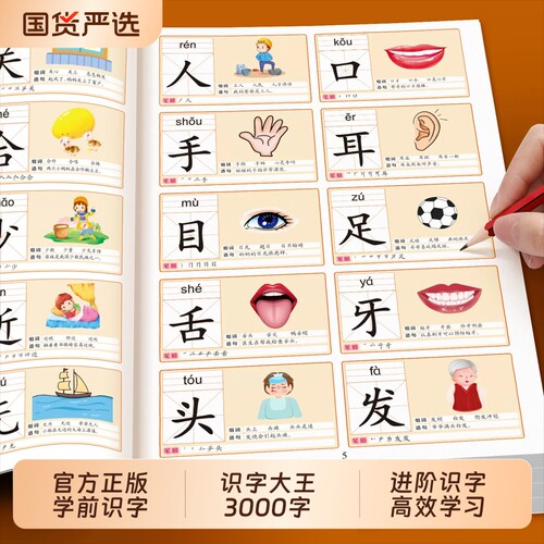 识字书幼儿认字识字大王3000字幼儿园儿童大班学前班宝宝幼儿启蒙早教书幼小衔接教材全套一日一练3到6岁益智书籍绘本认字书卡片