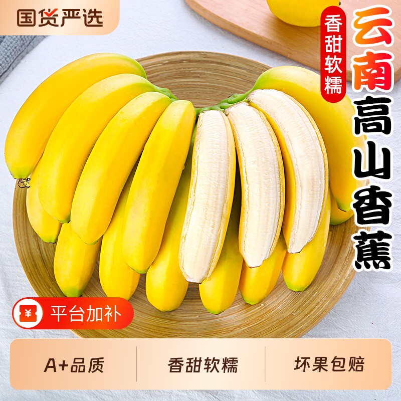 云南新鲜甜糯高山香蕉新鲜水果现摘芭蕉小米青香焦绿批发整箱包邮