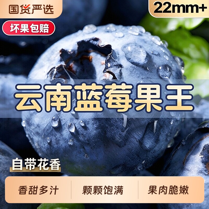 正宗云南花香蓝莓新鲜水果蓝梅鲜果酸甜多汁现摘高山大果整箱顺丰