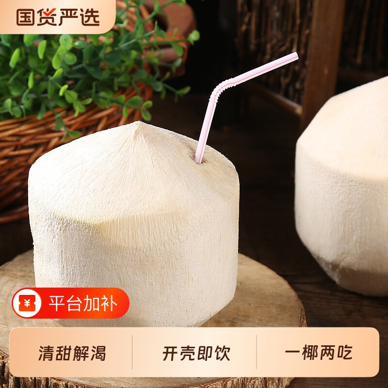 海南椰青椰子新鲜现摘去皮椰青清甜多汁嫩肉可挖一椰两吃整箱包邮