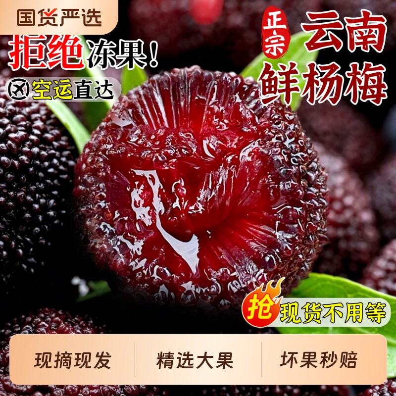 空运正宗云南杨梅新鲜现摘应季鲜果2026头茬大果杨梅孕妇水果包邮