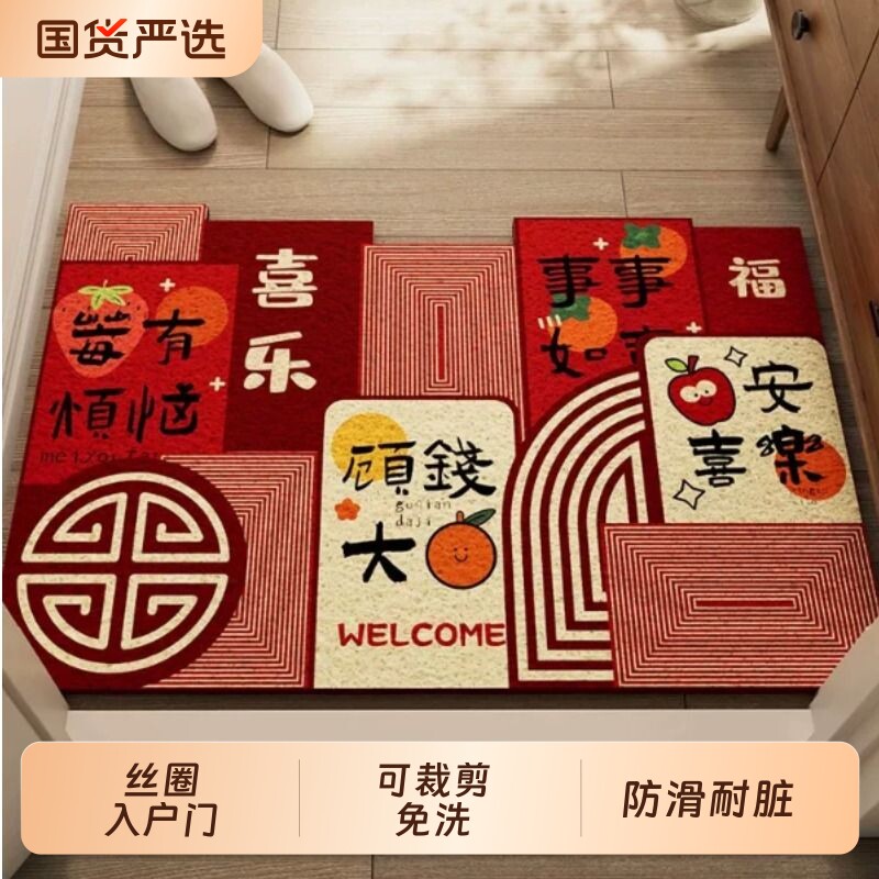 丝圈入户门地垫门口进门家用门垫防滑耐脏脚垫可裁剪门外地毯免洗图片