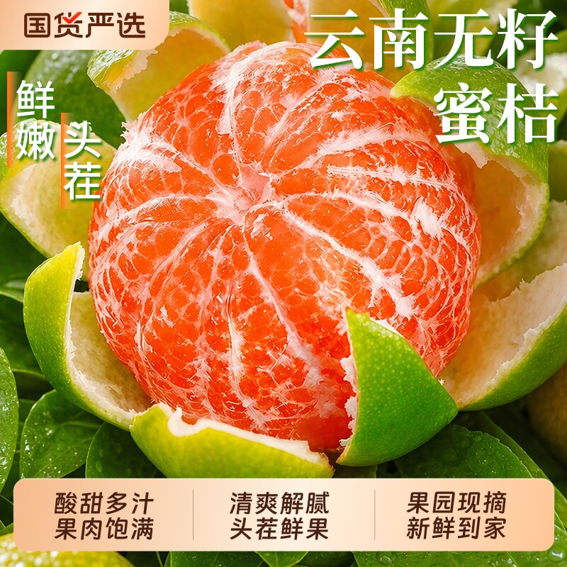 云南蜜橘新鲜桔子应当季水果现摘无籽柑橘小青绿皮桔子自然熟整箱