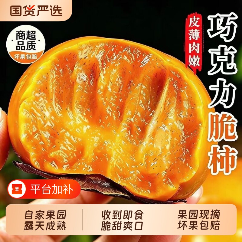 【产地直发】新鲜阳丰脆柿正宗巧克力脆柿子冰糖心无核应季水果5