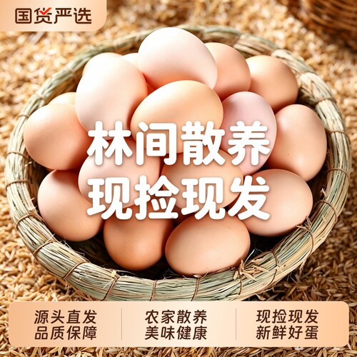 土鸡蛋农村草鸡蛋初生蛋谷物蛋