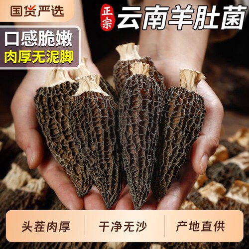 正宗云南羊肚菌干货非野生蘑菇