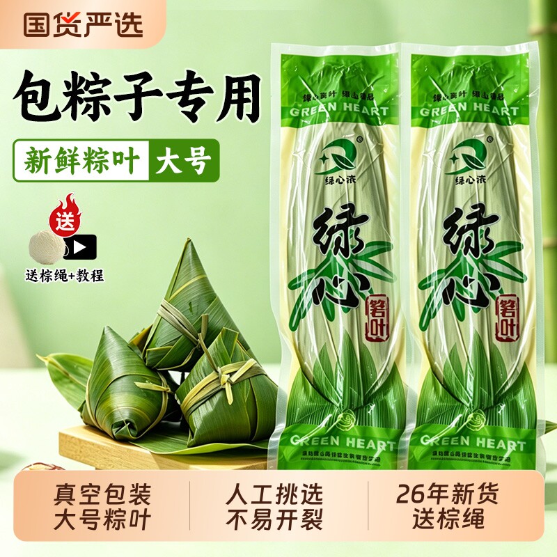 粽叶粽子叶新鲜大号包粽子专用端午节芦苇叶箬叶种老式批发200片