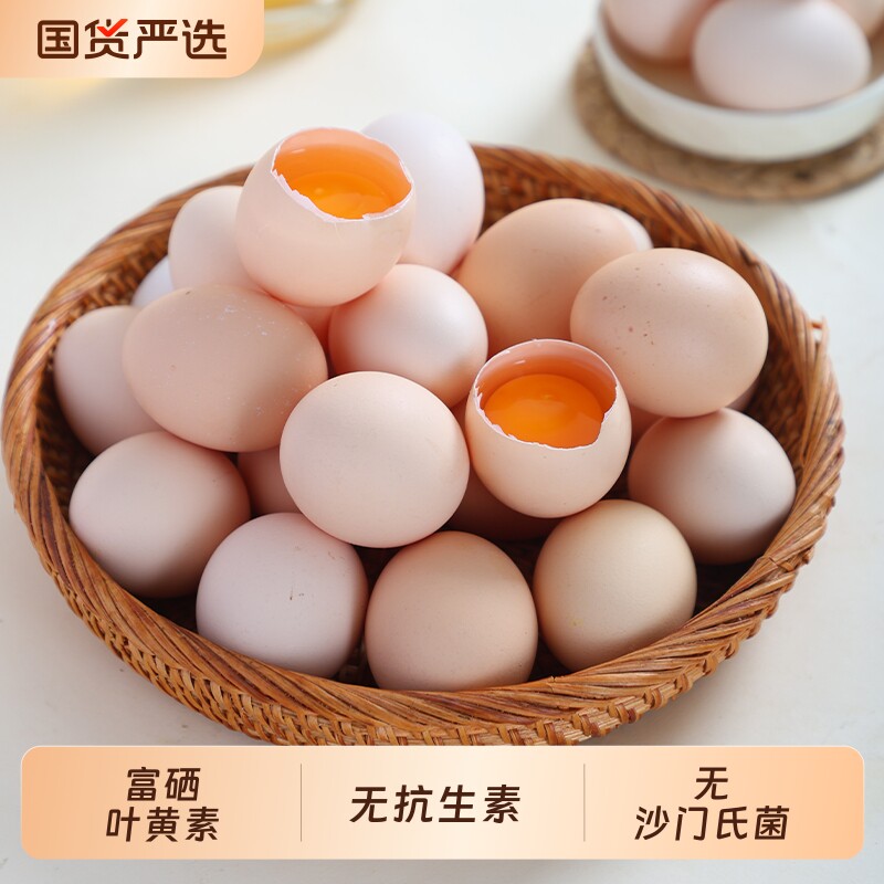 【普野】农家散养新鲜土鸡蛋50G*10枚