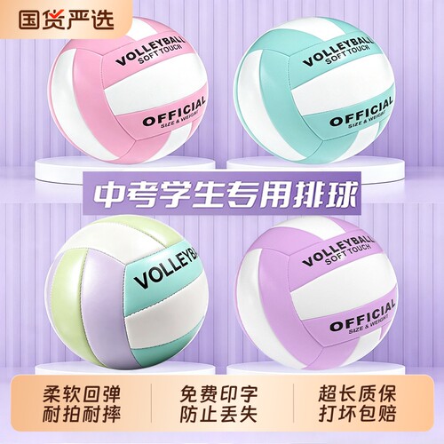 5号中考学生专用排球4号
