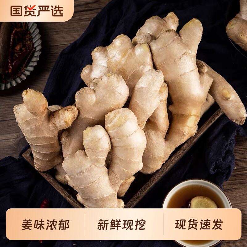 山东大姜生姜老姜优质月子姜风干姜现挖新鲜老黄姜产地直发老姜