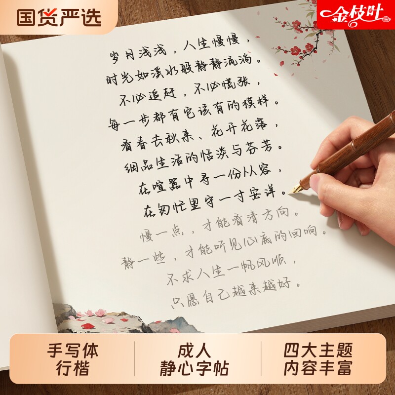 智慧语录字帖练字帖女生漂亮临摹静心解压手抄本练习写字描红本修身养性可重复使用练字本抄写硬笔书法治愈