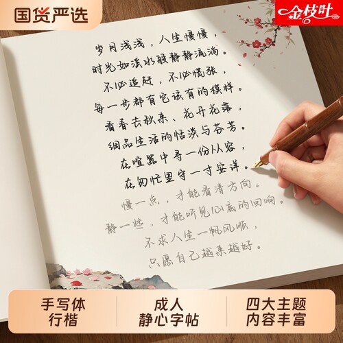 练字帖漂亮临摹静心解压硬笔