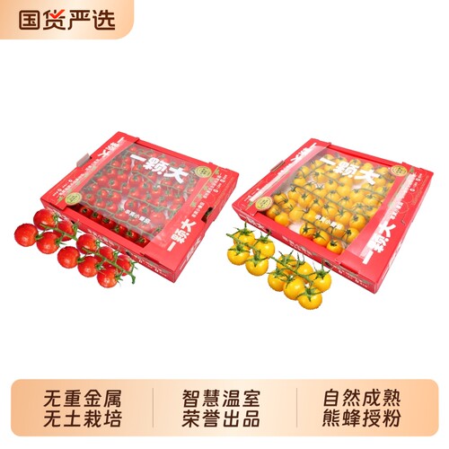 一颗大樱桃串番茄小西红柿