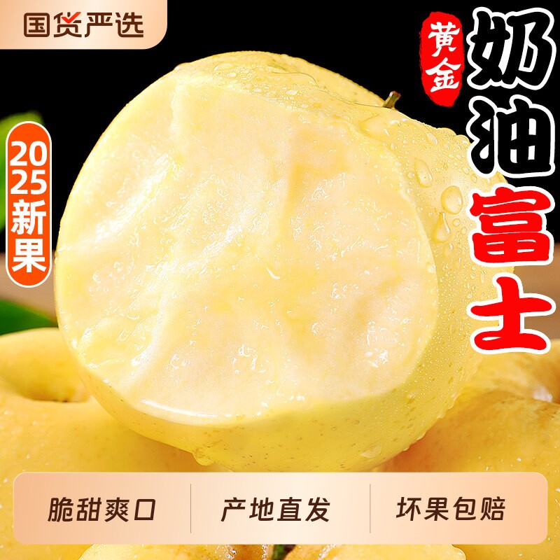 黄金奶油富士苹果山东烟台新鲜水果当季冰糖心牛奶脆甜红平果包邮