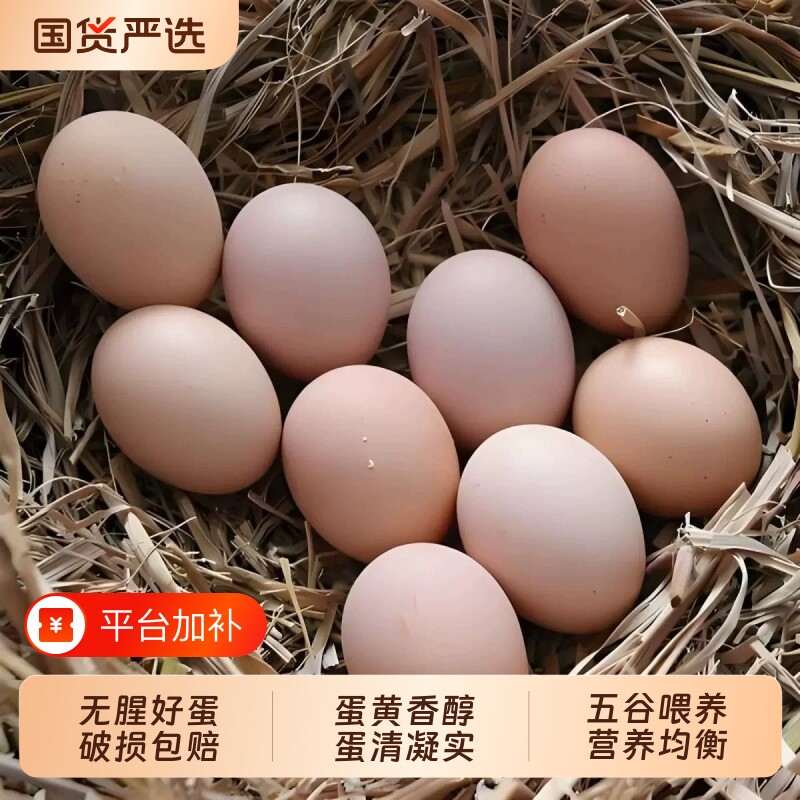 谷滋然新鲜土鸡蛋柴鸡蛋初生蛋40克谷物鲜鸡蛋30枚农家散养月子蛋
