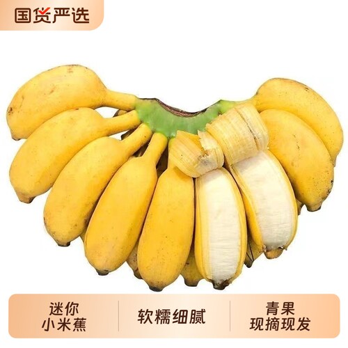 [福利]正宗广西小米蕉鸡蕉当季新鲜水果整箱自然熟小香蕉现摘现发