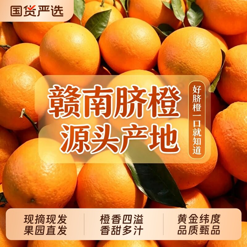 正宗赣南脐橙新鲜应季水果