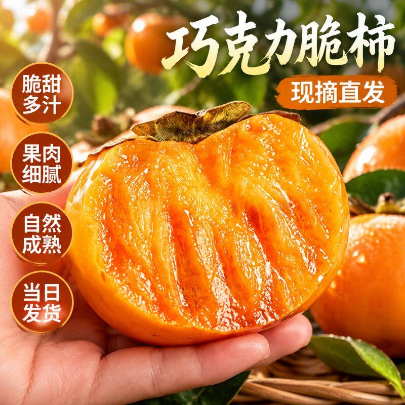 巧克力脆柿新鲜柿子太秋水果正宗冰糖心脆甜硬脆皮火晶大果整箱