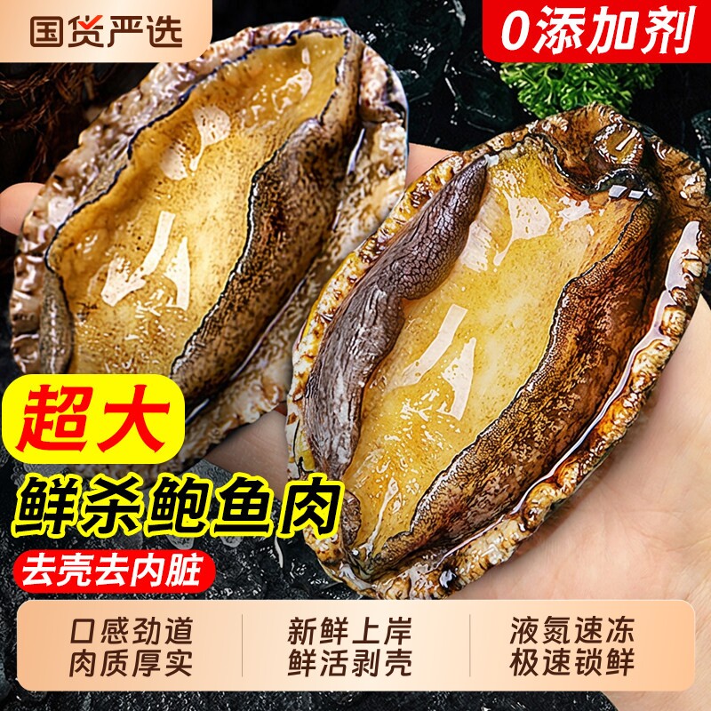 鲍鱼肉鲜活冷冻去牙去壳新鲜活鲍现剥去内脏火锅食材500g海鲜水产图片