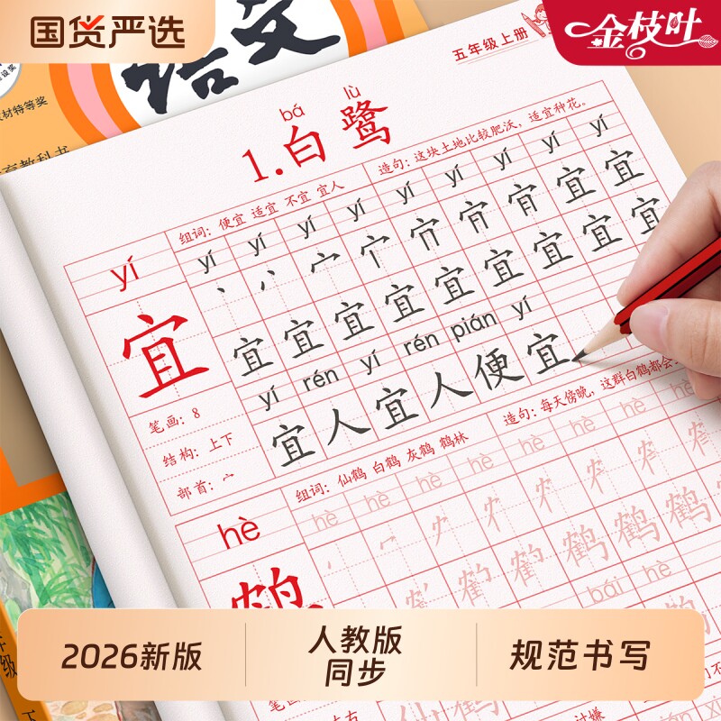 五年级上册练字帖同步小学生专用字帖每日打卡语文人教版拼音生字词描红本写字课课练5年级期写字帖部编教材练字一练楷书新版练习