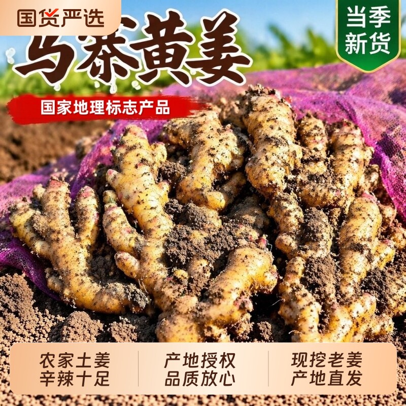 生姜老姜马寨佛手小黄姜农家自种老姜月子姜地标老品种不膨大新鲜图片
