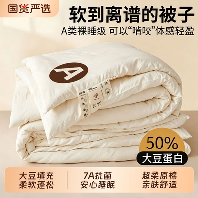 全网热销大豆纤维子母被四季通用