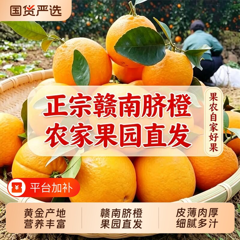 2026赣南脐橙江西赣州产地橙子当季新鲜水果甜橙多汁生鲜直供