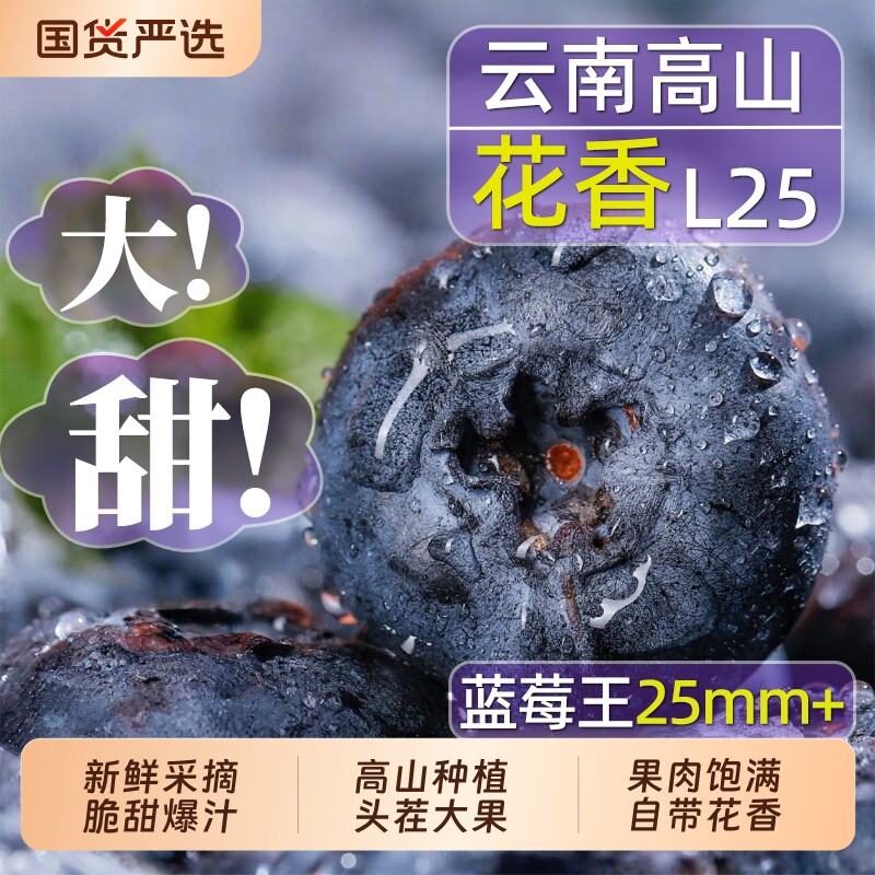云南花香蓝莓鲜果高山新鲜水果特大果冠l25高山花香怡颗大果脆甜