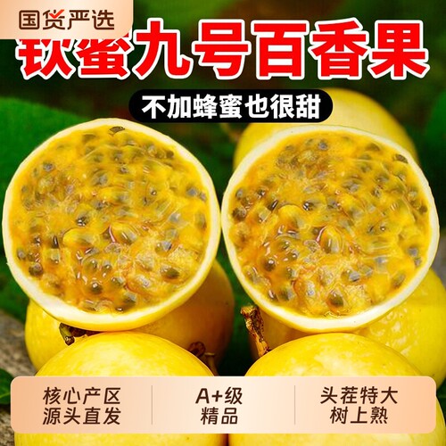 广西黄金百香果钦蜜9号新鲜5斤包邮特大果当季黄皮鲜果黄金果九号