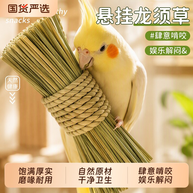 【抖音爆款】耐啃咬鹦鹉龙须草图片