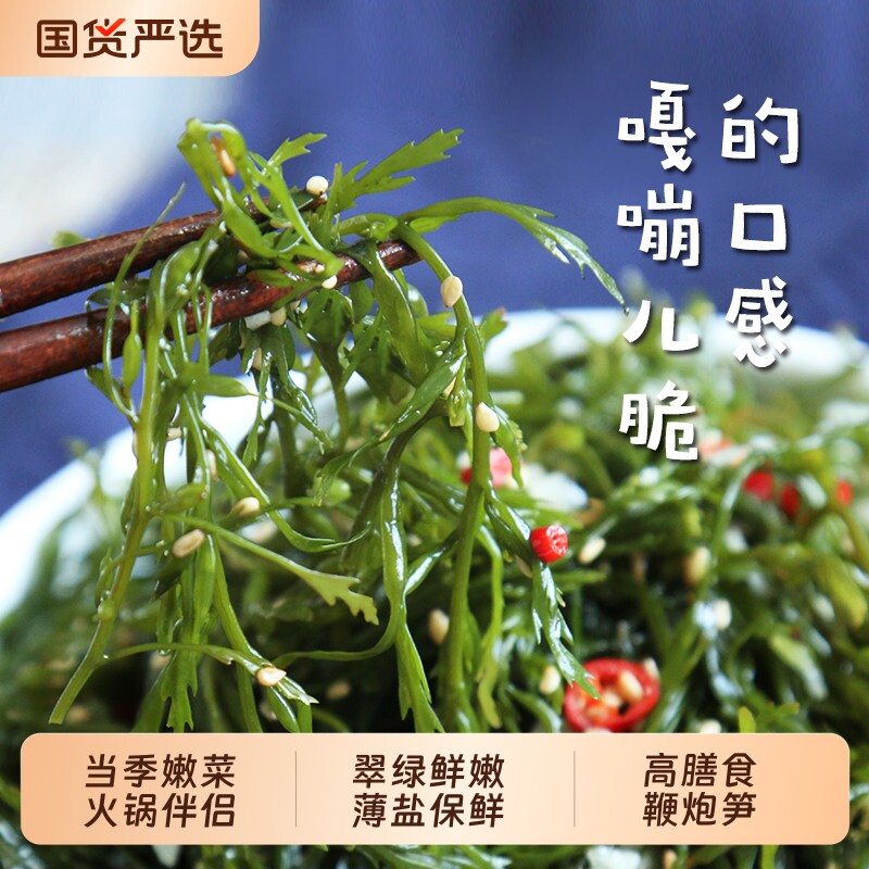 鞭炮笋5斤盐渍马尾藻新鲜海藻凉拌羊栖长寿菜火锅食材非干货商用