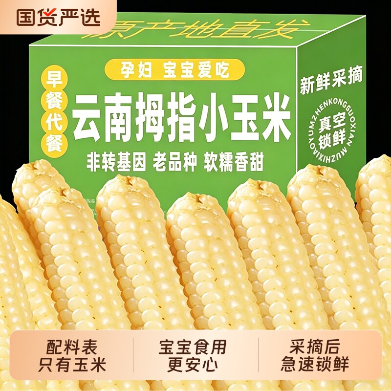 新货云南西双版纳紫色拇指玉米新鲜手指甜糯玉米代餐粗粮真空包装