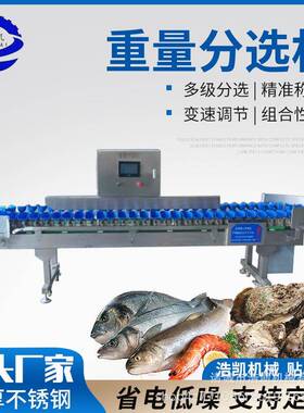 全自动称重重量分选机鸡爪鸡腿称重分选机海参牡蛎重量分拣机精准